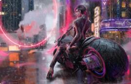 弑子 弑子油画